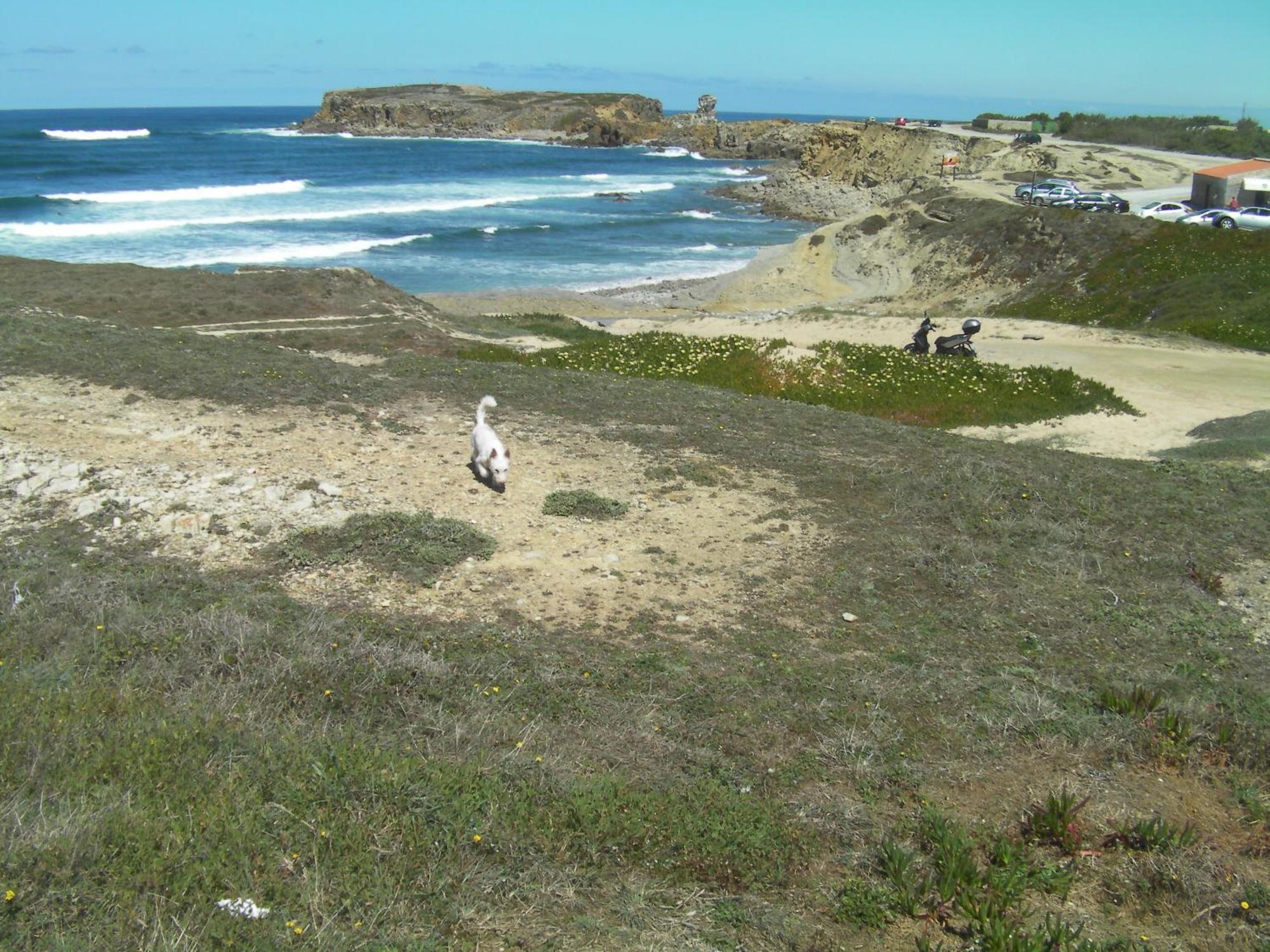 Peniche Surf Lodge 1 Luaran gambar
